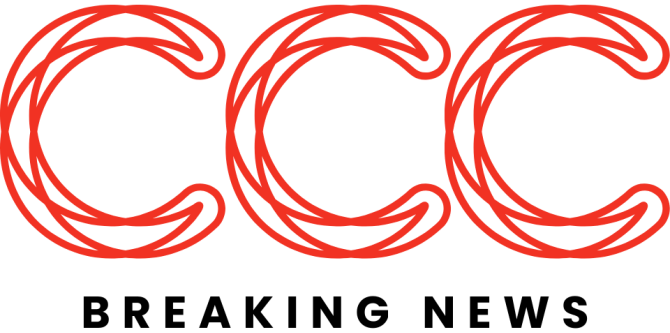 Blog Cursos com Certificado
